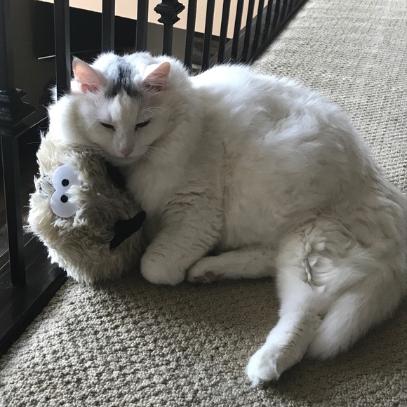 Meet your Posher, Alandra - Picture 1 of 1